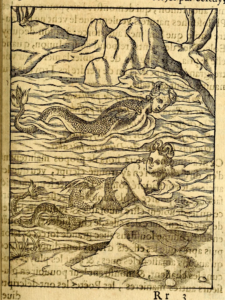 An illustration from Les images des dievx des anciens : contenans les idoles, covstvmes, ceremonies, & autres choses appartenans à la religion des payens, 1581, leaf 336