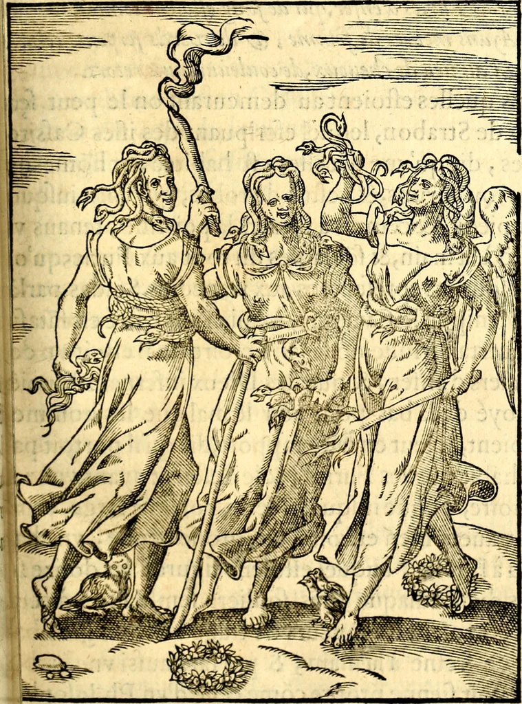 An illustration from Les images des dievx des anciens : contenans les idoles, covstvmes, ceremonies, & autres choses appartenans à la religion des payens, 1581, leaf 362