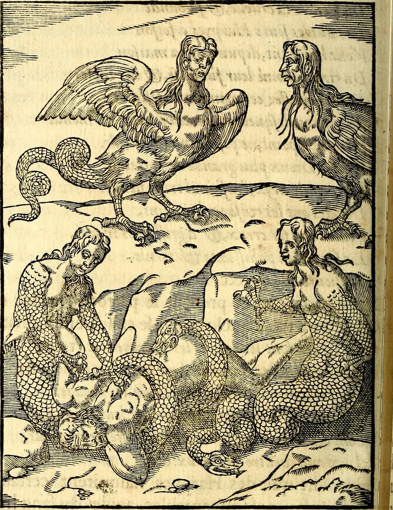 An illustration from Les images des dievx des anciens : contenans les idoles, covstvmes, ceremonies, & autres choses appartenans à la religion des payens, 1581, leaf 373