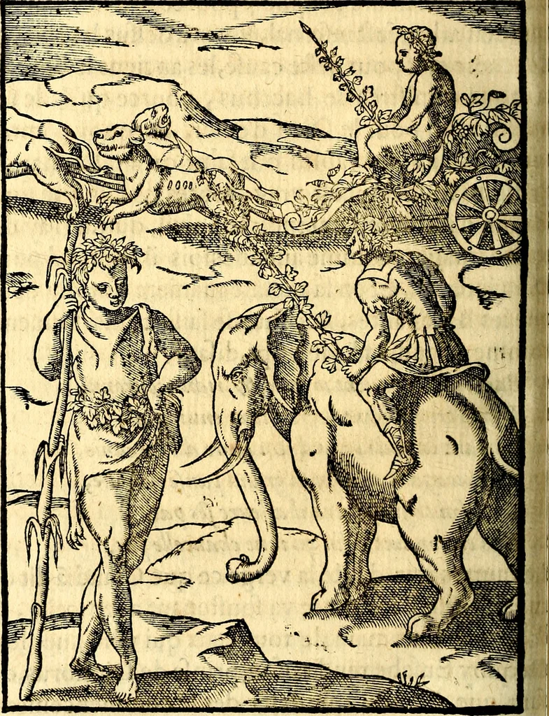 An illustration from Les images des dievx des anciens : contenans les idoles, covstvmes, ceremonies, & autres choses appartenans à la religion des payens, 1581, leaf 517