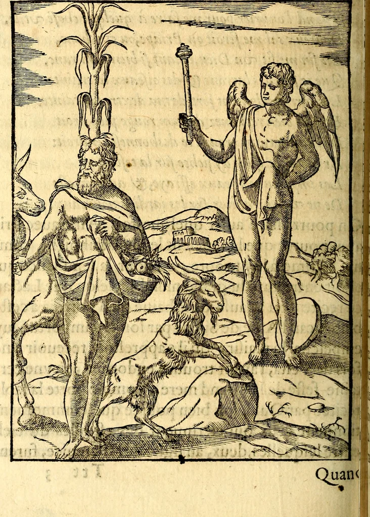 An illustration from Les images des dievx des anciens : contenans les idoles, covstvmes, ceremonies, & autres choses appartenans à la religion des payens, 1581, leaf 535
