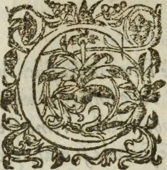 An illustration from Les images ov tableavs de platte peintvre de Philostrate lemnien sophiste grec, 1597, leaf 1023