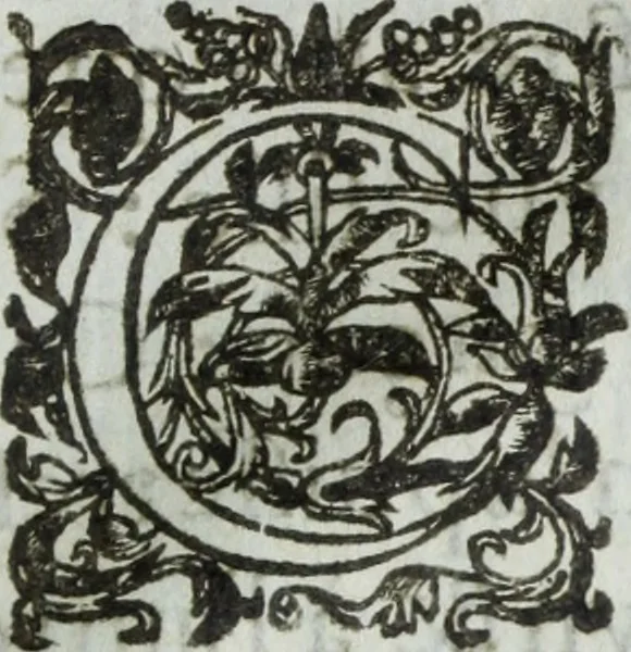 An illustration from Les images ov tableavs de platte peintvre de Philostrate lemnien sophiste grec, 1597, leaf 1032