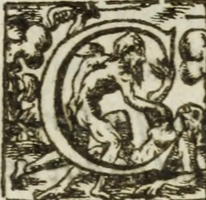 An illustration from Les images ov tableavs de platte peintvre de Philostrate lemnien sophiste grec, 1597, leaf 1039
