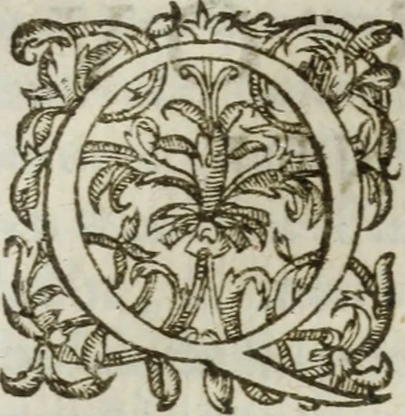 An illustration from Les images ov tableavs de platte peintvre de Philostrate lemnien sophiste grec, 1597, leaf 1049
