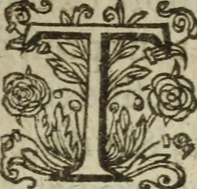 An illustration from Les images ov tableavs de platte peintvre de Philostrate lemnien sophiste grec, 1597, leaf 159
