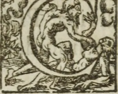 An illustration from Les images ov tableavs de platte peintvre de Philostrate lemnien sophiste grec, 1597, leaf 239