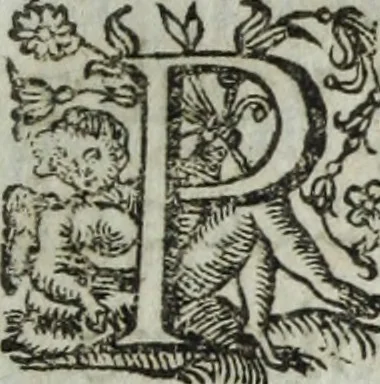 An illustration from Les images ov tableavs de platte peintvre de Philostrate lemnien sophiste grec, 1597, leaf 246