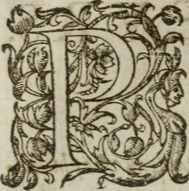 An illustration from Les images ov tableavs de platte peintvre de Philostrate lemnien sophiste grec, 1597, leaf 247