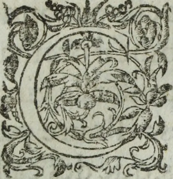 An illustration from Les images ov tableavs de platte peintvre de Philostrate lemnien sophiste grec, 1597, leaf 254