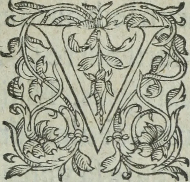 An illustration from Les images ov tableavs de platte peintvre de Philostrate lemnien sophiste grec, 1597, leaf 276