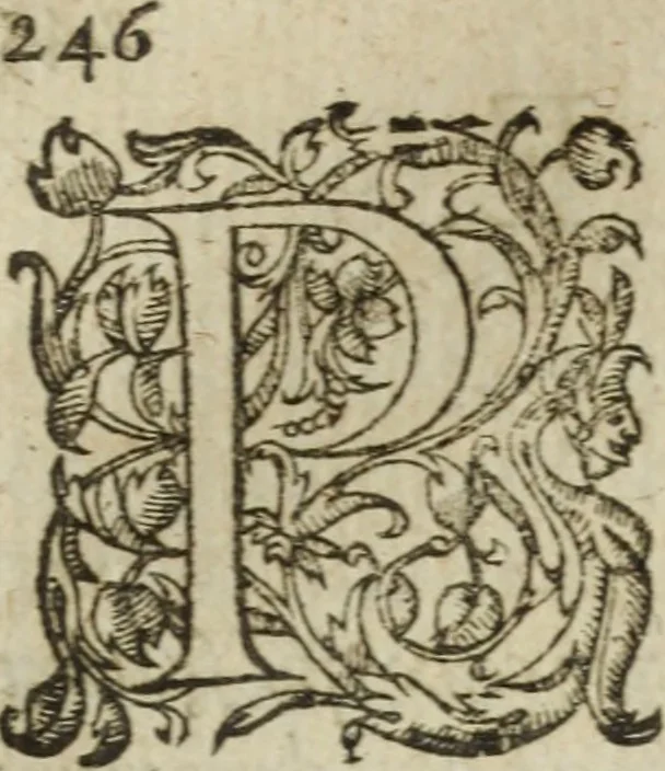 An illustration from Les images ov tableavs de platte peintvre de Philostrate lemnien sophiste grec, 1597, leaf 303