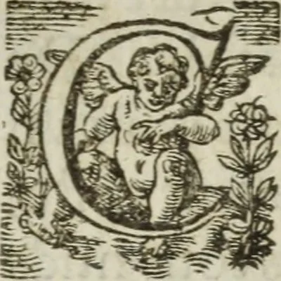 An illustration from Les images ov tableavs de platte peintvre de Philostrate lemnien sophiste grec, 1597, leaf 313