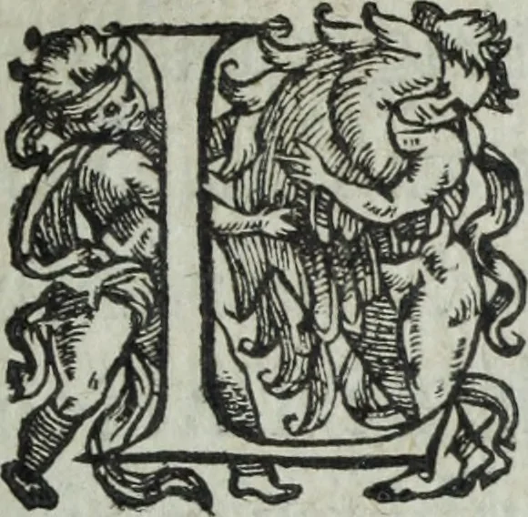 An illustration from Les images ov tableavs de platte peintvre de Philostrate lemnien sophiste grec, 1597, leaf 326