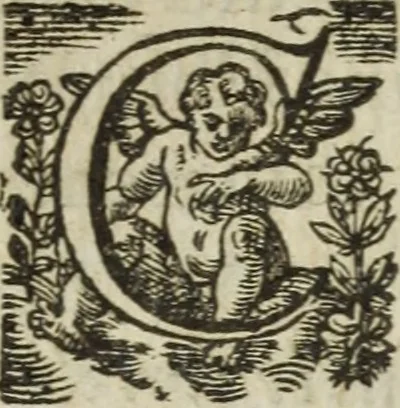 An illustration from Les images ov tableavs de platte peintvre de Philostrate lemnien sophiste grec, 1597, leaf 357