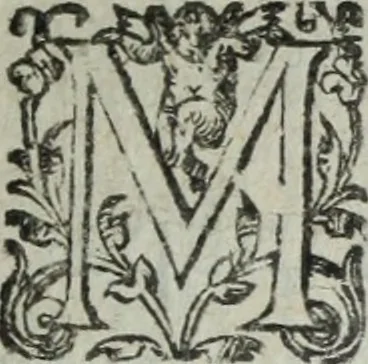 An illustration from Les images ov tableavs de platte peintvre de Philostrate lemnien sophiste grec, 1597, leaf 394