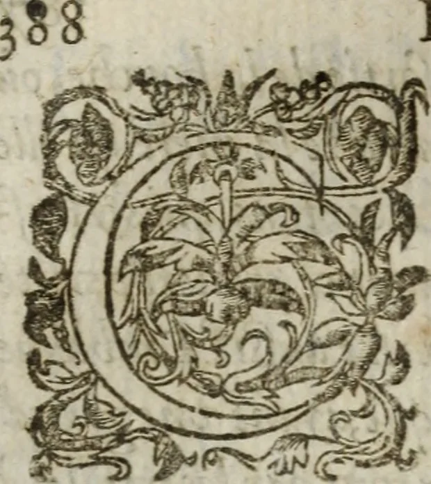 An illustration from Les images ov tableavs de platte peintvre de Philostrate lemnien sophiste grec, 1597, leaf 445