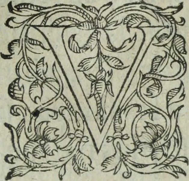 An illustration from Les images ov tableavs de platte peintvre de Philostrate lemnien sophiste grec, 1597, leaf 454