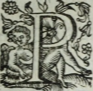 An illustration from Les images ov tableavs de platte peintvre de Philostrate lemnien sophiste grec, 1597, leaf 474