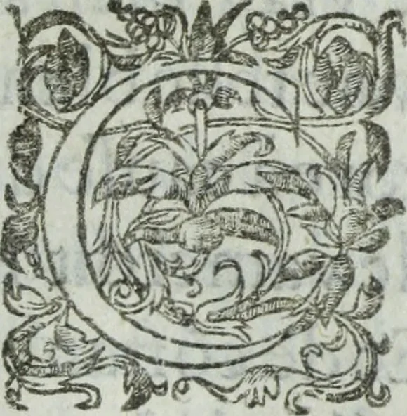 An illustration from Les images ov tableavs de platte peintvre de Philostrate lemnien sophiste grec, 1597, leaf 524