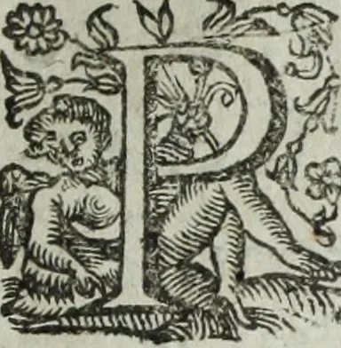 An illustration from Les images ov tableavs de platte peintvre de Philostrate lemnien sophiste grec, 1597, leaf 544