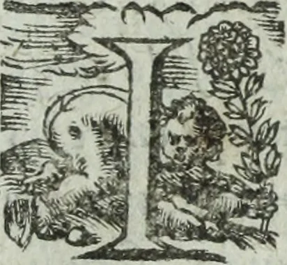 An illustration from Les images ov tableavs de platte peintvre de Philostrate lemnien sophiste grec, 1597, leaf 552