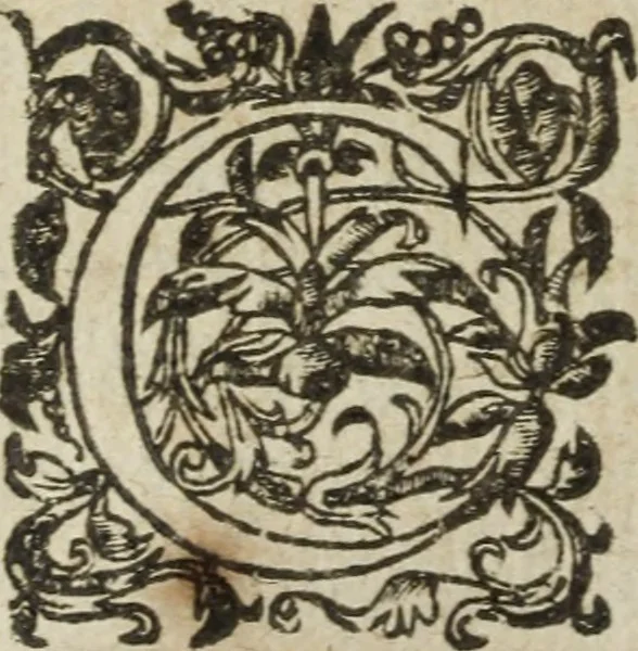 An illustration from Les images ov tableavs de platte peintvre de Philostrate lemnien sophiste grec, 1597, leaf 589