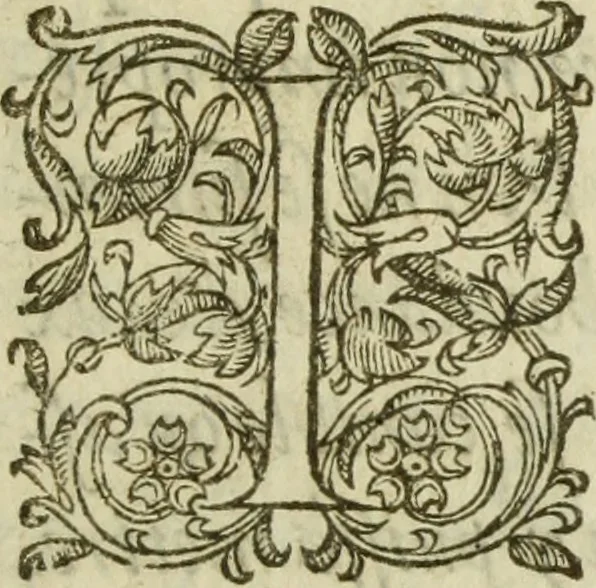 An illustration from Les images ov tableavs de platte peintvre de Philostrate lemnien sophiste grec, 1597, leaf 6