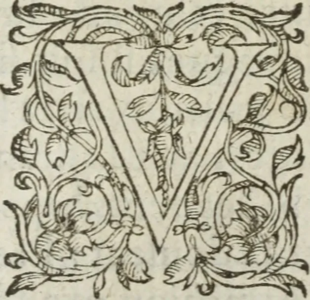 An illustration from Les images ov tableavs de platte peintvre de Philostrate lemnien sophiste grec, 1597, leaf 649