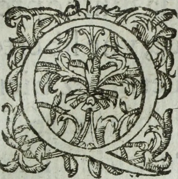 An illustration from Les images ov tableavs de platte peintvre de Philostrate lemnien sophiste grec, 1597, leaf 674