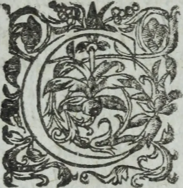 An illustration from Les images ov tableavs de platte peintvre de Philostrate lemnien sophiste grec, 1597, leaf 73