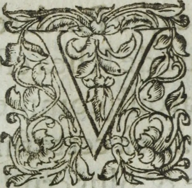 An illustration from Les images ov tableavs de platte peintvre de Philostrate lemnien sophiste grec, 1597, leaf 750