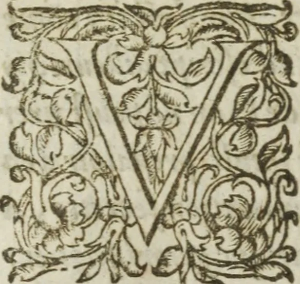 An illustration from Les images ov tableavs de platte peintvre de Philostrate lemnien sophiste grec, 1597, leaf 825