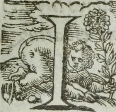 An illustration from Les images ov tableavs de platte peintvre de Philostrate lemnien sophiste grec, 1597, leaf 852