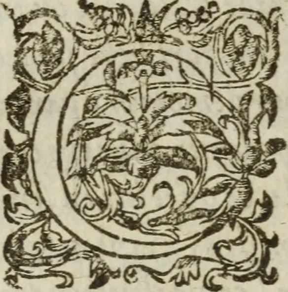 An illustration from Les images ov tableavs de platte peintvre de Philostrate lemnien sophiste grec, 1597, leaf 853