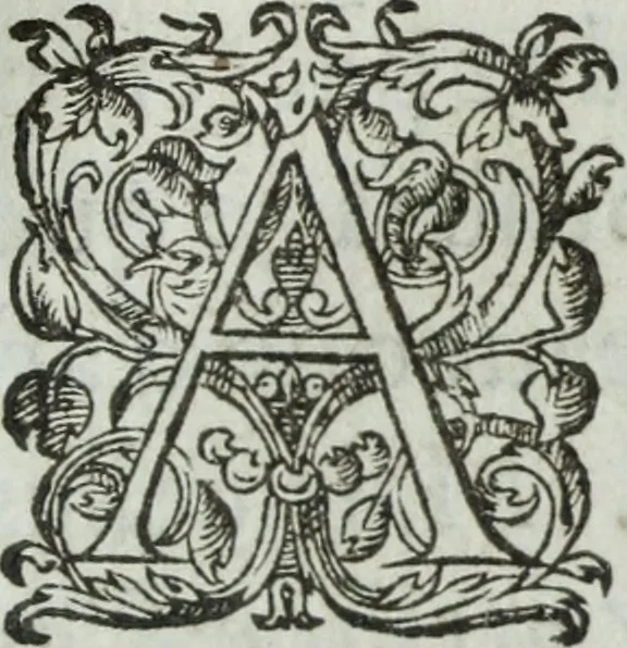 An illustration from Les images ov tableavs de platte peintvre de Philostrate lemnien sophiste grec, 1597, leaf 910