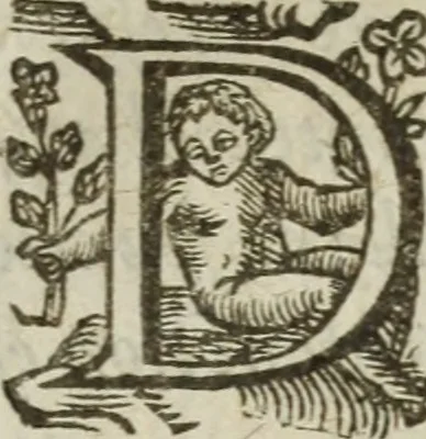 An illustration from Les images ov tableavs de platte peintvre de Philostrate lemnien sophiste grec, 1597, leaf 961