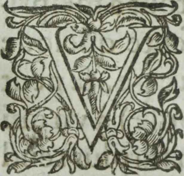 An illustration from Les images ov tableavs de platte peintvre de Philostrate lemnien sophiste grec, 1597, leaf 962