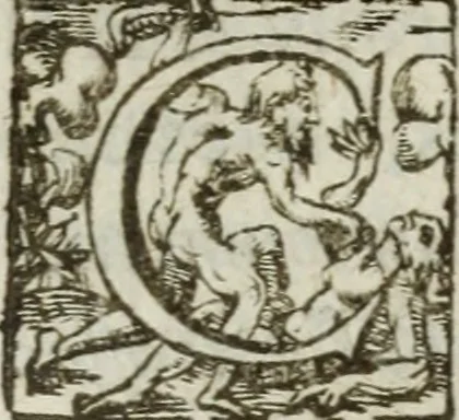 An illustration from Les images ov tableavs de platte peintvre de Philostrate lemnien sophiste grec, 1597, leaf 973
