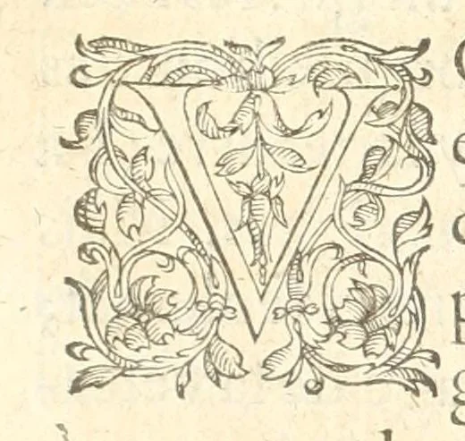 An illustration from Les images ov tableavs de platte peintvre de Philostrate lemnien sophiste grec, 1597, leaf 275