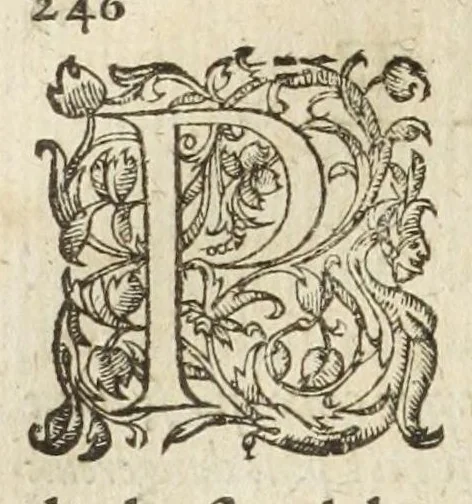An illustration from Les images ov tableavs de platte peintvre de Philostrate lemnien sophiste grec, 1597, leaf 302