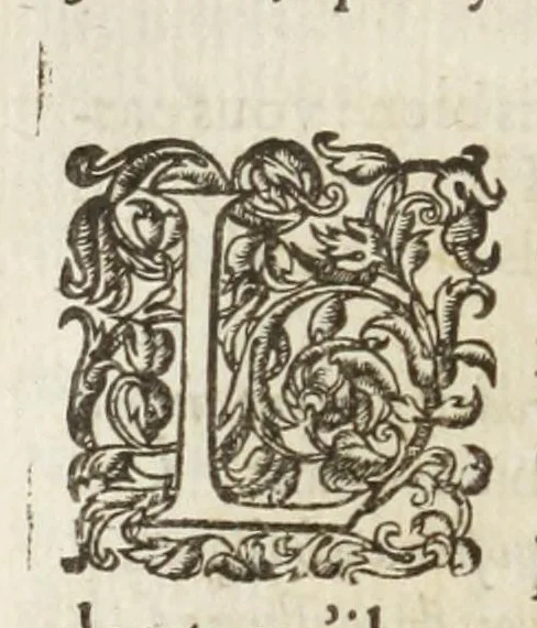 An illustration from Les images ov tableavs de platte peintvre de Philostrate lemnien sophiste grec, 1597, leaf 312