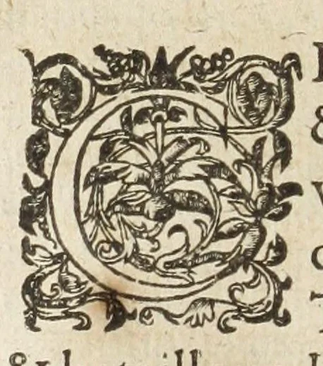 An illustration from Les images ov tableavs de platte peintvre de Philostrate lemnien sophiste grec, 1597, leaf 590