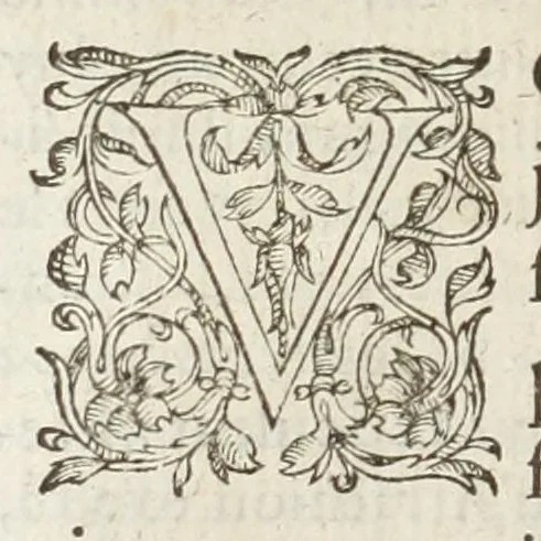 An illustration from Les images ov tableavs de platte peintvre de Philostrate lemnien sophiste grec, 1597, leaf 650