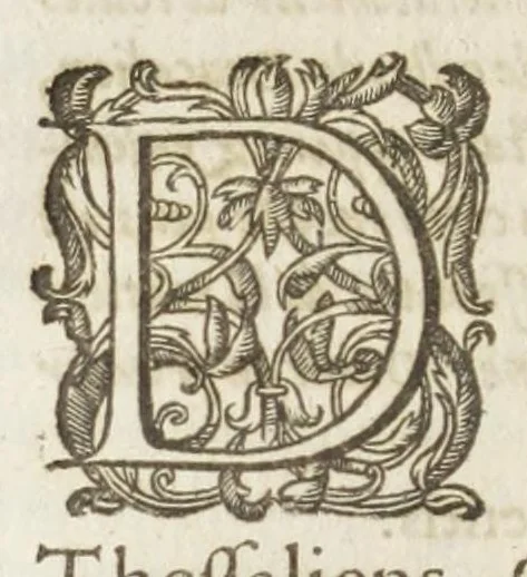 An illustration from Les images ov tableavs de platte peintvre de Philostrate lemnien sophiste grec, 1597, leaf 772