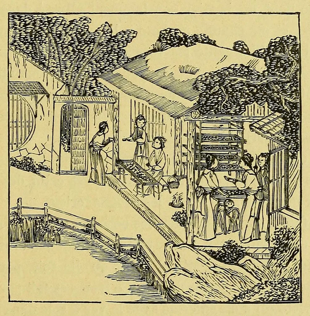 An illustration from Les industries de la soie: sériculture, filature, moulinage, tissage, tenture; histoire & statistique, 1890, leaf 49