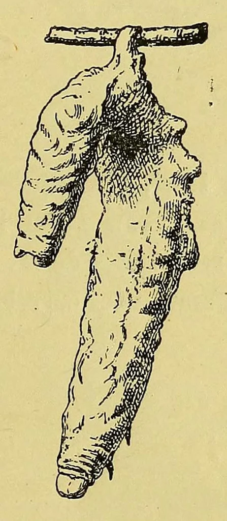 An illustration from Les industries de la soie: sériculture, filature, moulinage, tissage, tenture; histoire & statistique, 1890, leaf 63