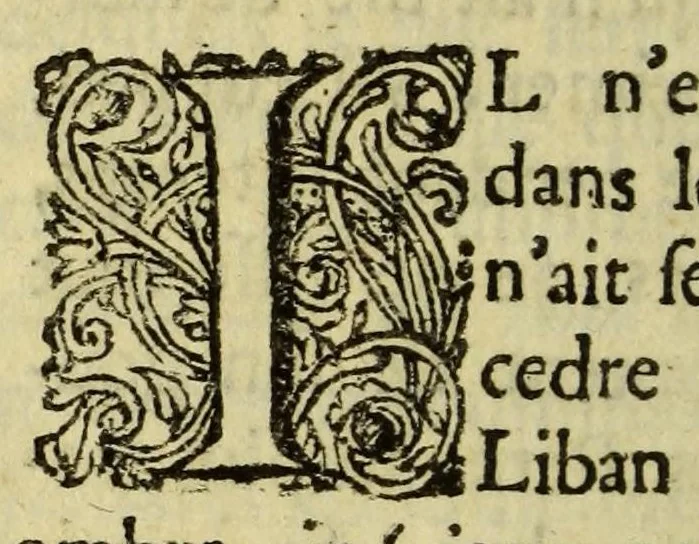 An illustration from Les Jesuistes mis sur l'eschafaut, : pour plusieurs crimes capitaux par eux commis dans la Province de Guienne. Avec la response aux calomnies de Jacques Beaufés,, 1677, leaf 264