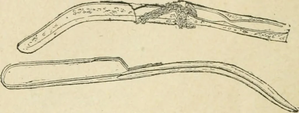 An illustration from Les jeux des Grecs et des Romains, 1891, leaf 61