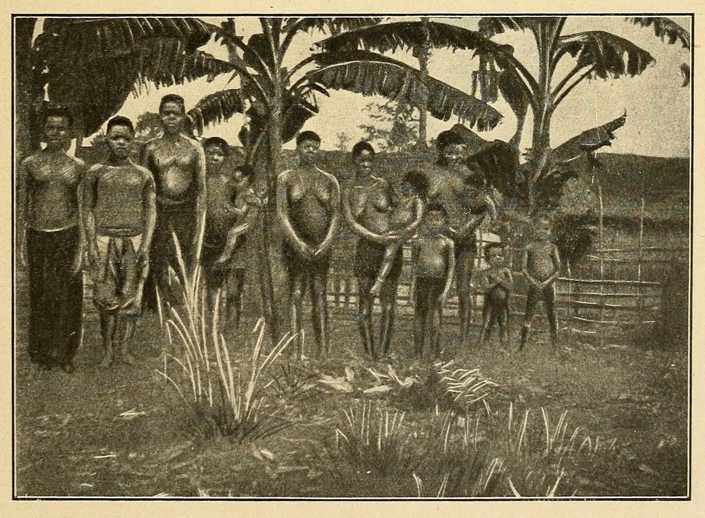 An illustration from Les Lesa : peuplade du Congo belge : notes ethnographiques, 1914, leaf 39